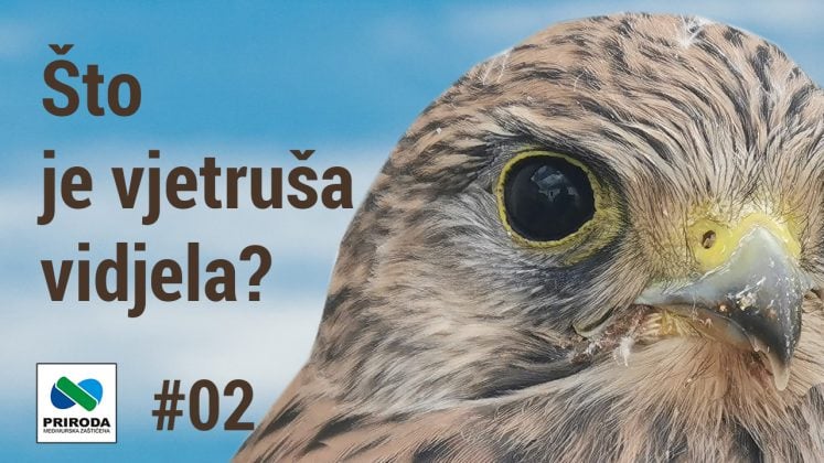 Otkrijte Prirodne Ljepote Međimurja Uz Serijal Što Je Vjetruša Vidjela?